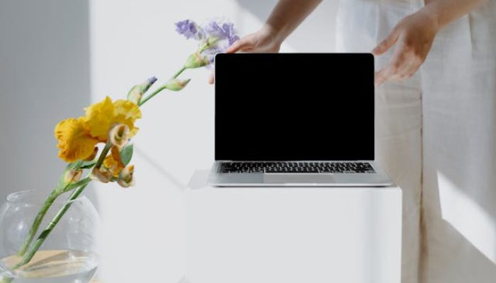 Skapa en företagshemsida i WordPress eller Wix